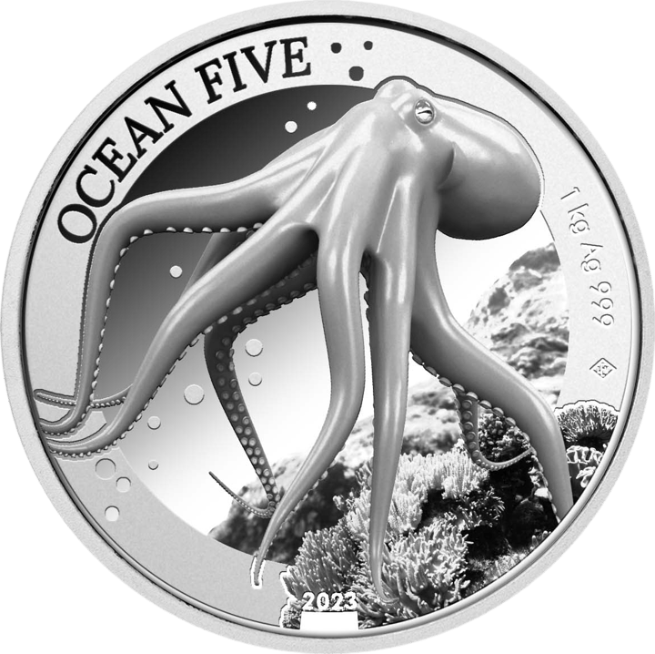 Oktopus auf 1 kg Silber, Bildseite, Abbildung