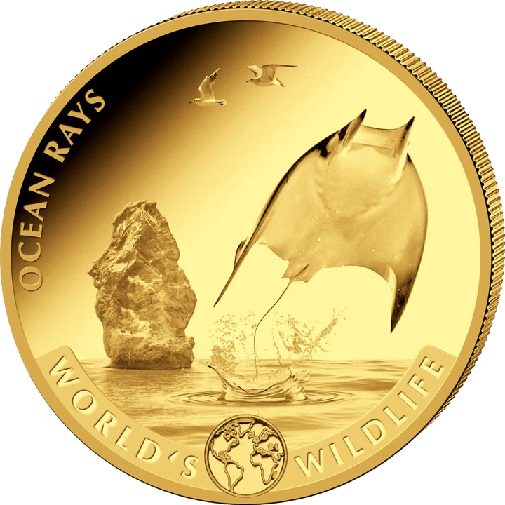 Mantarochen auf 1 Unze Gold, Bildseite, Abbildung