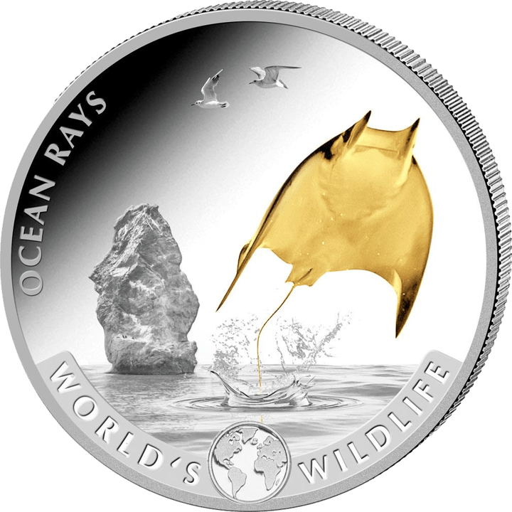 Mantarochen auf 1 Unze Silber, Bildseite, Abbildung