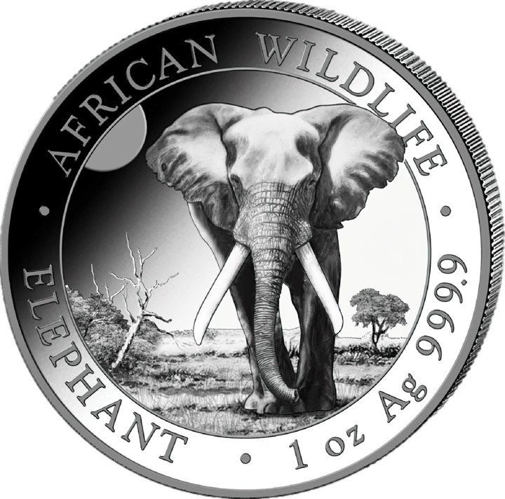 Somalia Elefant, 1 Unze Silber, Bildseite, Abbildung