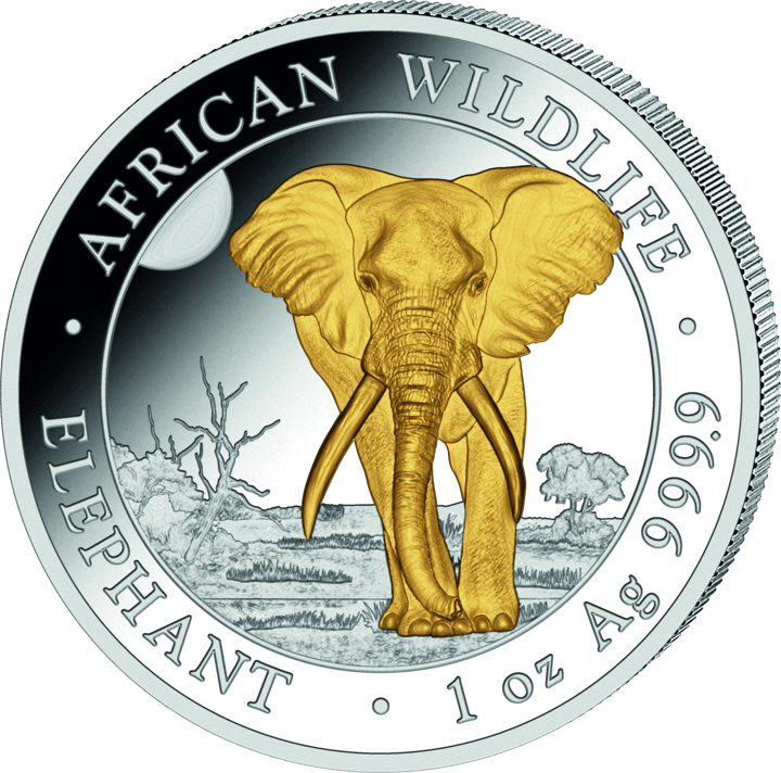 Somalia Elefant, 1 Unze Silber, Bildseite, Abbildung