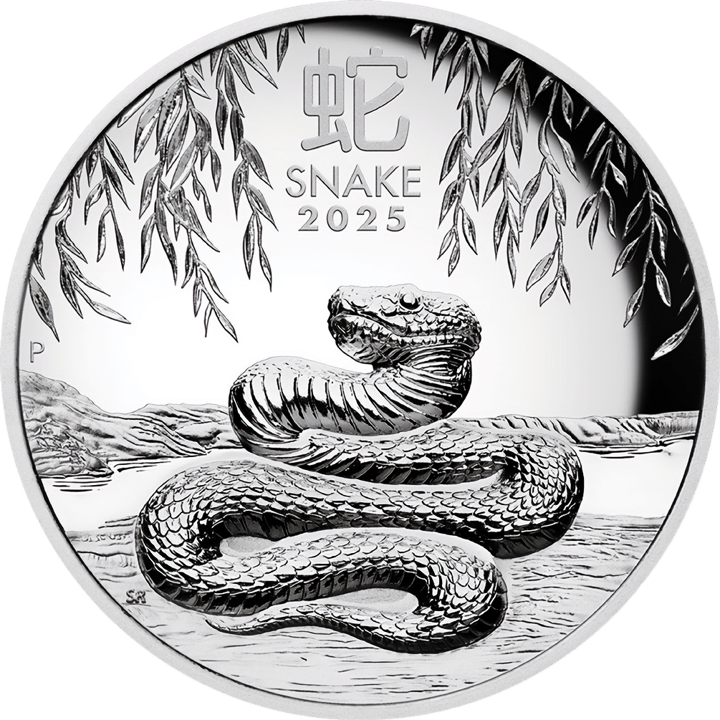 Imagen de la cara del animal: una serpiente, enroscada en el suelo bajo hojas colgantes, arriba el carácter 蛇 y SNAKE 2025, a la izquierda una P
