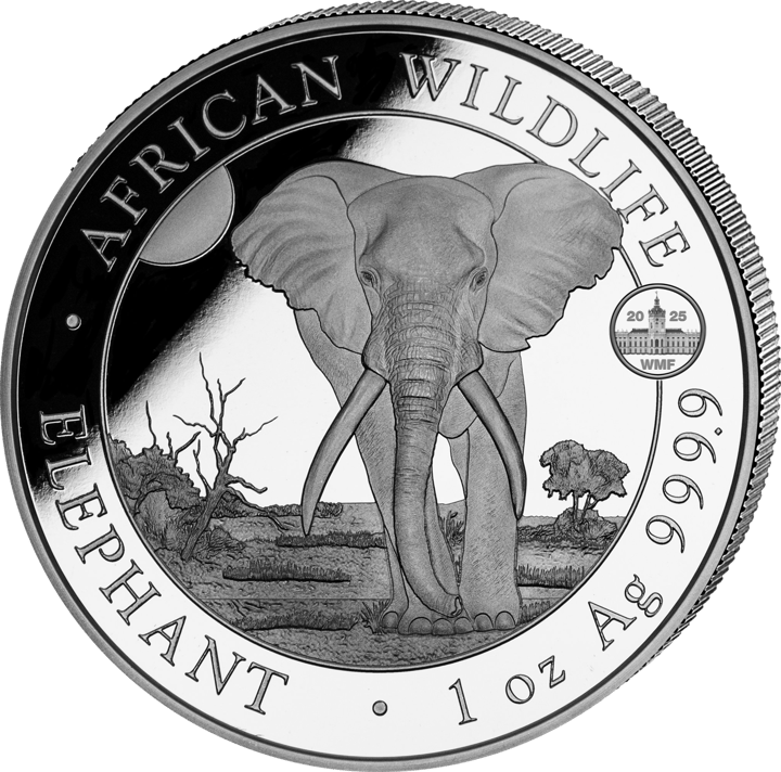 Somalia Elefant, 1 Unze Silber, Bildseite, Abbildung