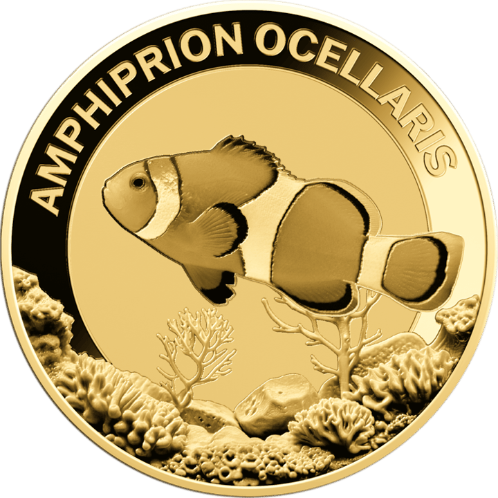 Clownfisch auf 1/1.000 Unze Gold, Bildseite, Abbildung