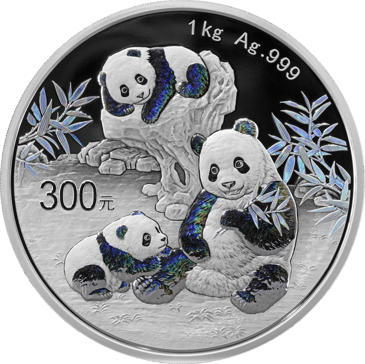 China Panda, 1 kg Silver, side with the panda, image
