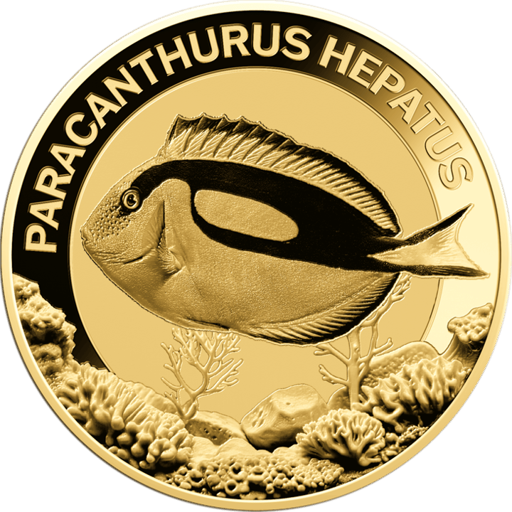 Paletten-Doktorfisch auf 1/1.000 Unze Gold, Bildseite, Abbildung