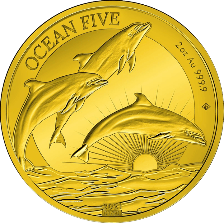 Delfin auf 2 Unzen Gold, Bildseite, Abbildung