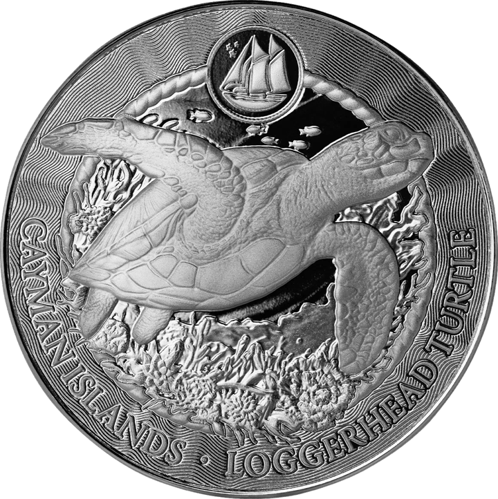 Unechte Karettschildkröte auf 1 Unze Silber, Bildseite, Abbildung