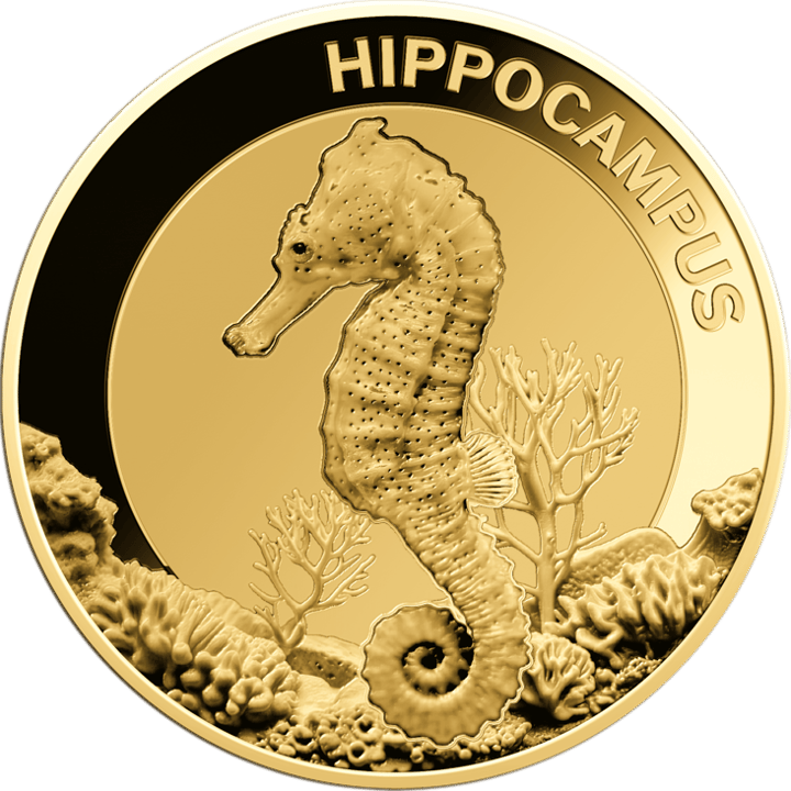 Seepferdchen auf 1/1.000 Unze Gold, Bildseite, Abbildung