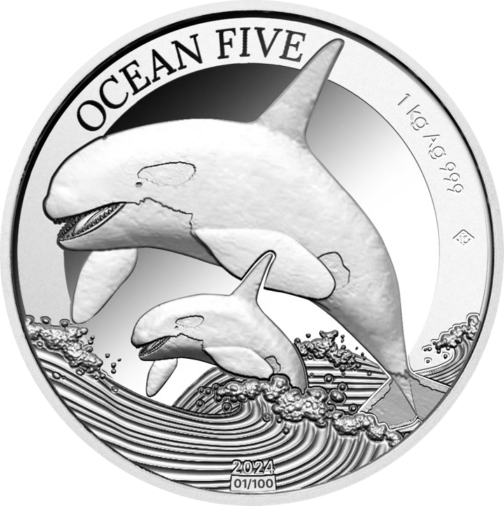 Orca auf 1 kg Silber, Bildseite, Abbildung