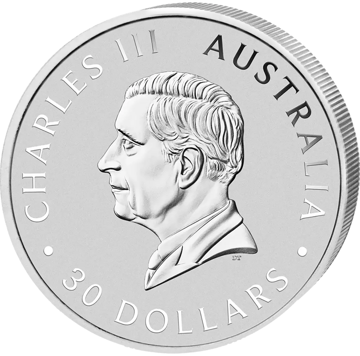 Kookaburra 2026, side with the effigy, image