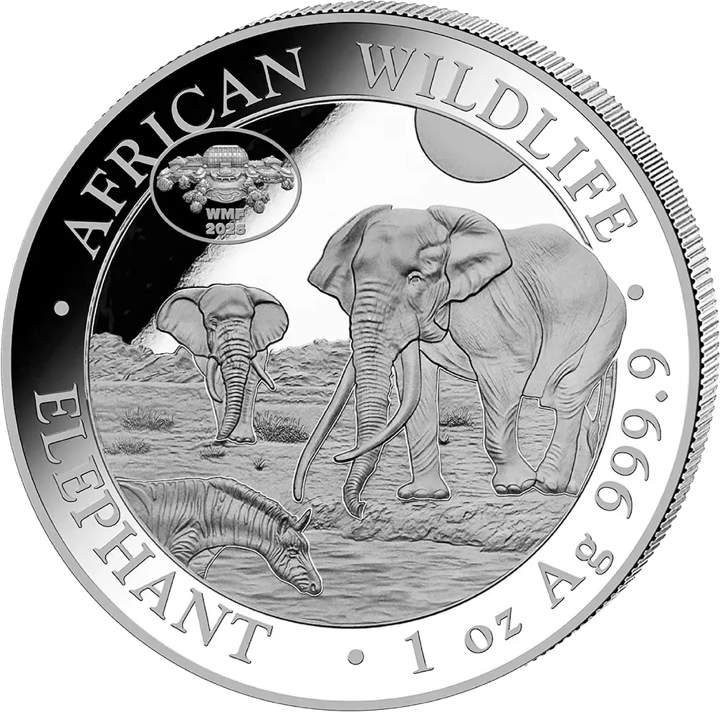 Somalia Elefant, 1 Unze Silber, Bildseite, Abbildung