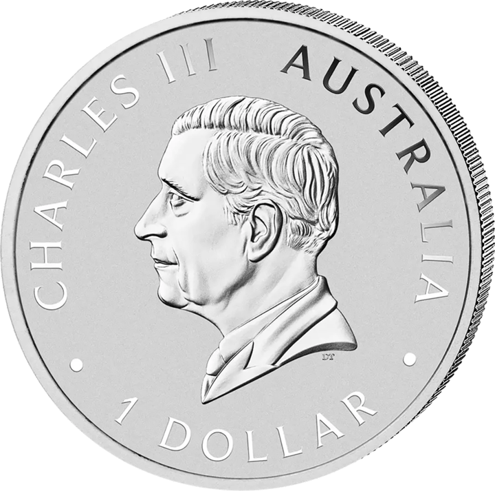 Kookaburra 2026, side with the effigy, image