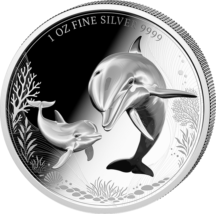 Delfin auf 1 Unze Silber, Bildseite, Abbildung