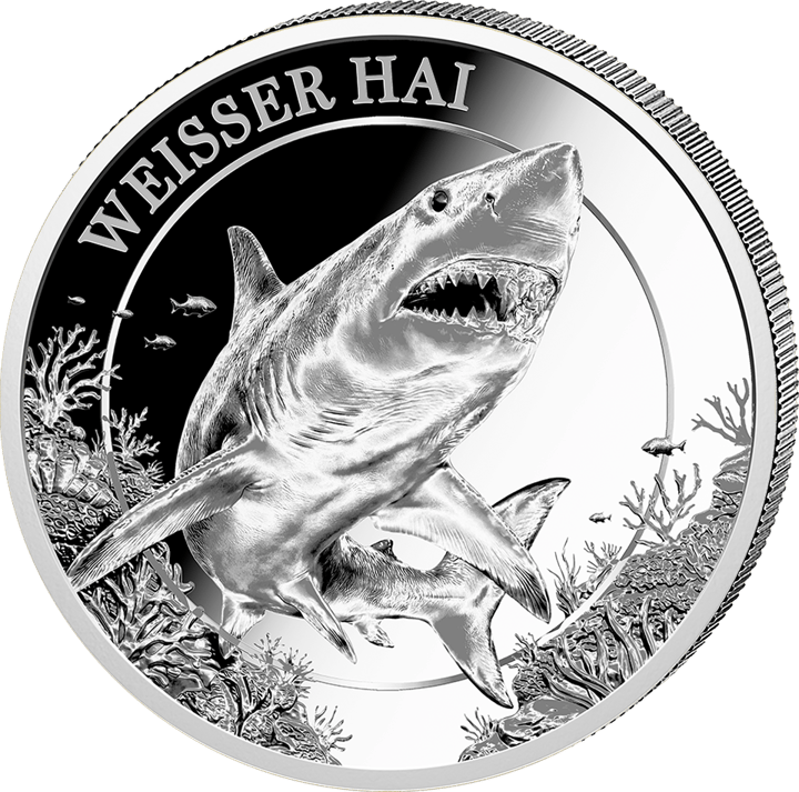 Weißer Hai auf 1 Unze Silber, Bildseite, Abbildung