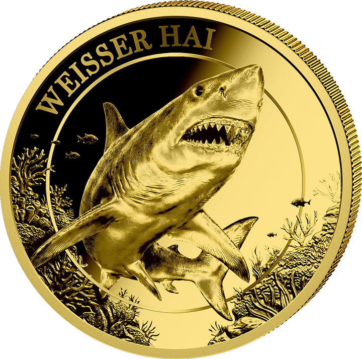 Weißer Hai auf 1/200 Unze Gold, Bildseite, Abbildung