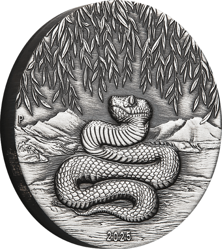 Abbildung der Tierseite, schräg von vorn