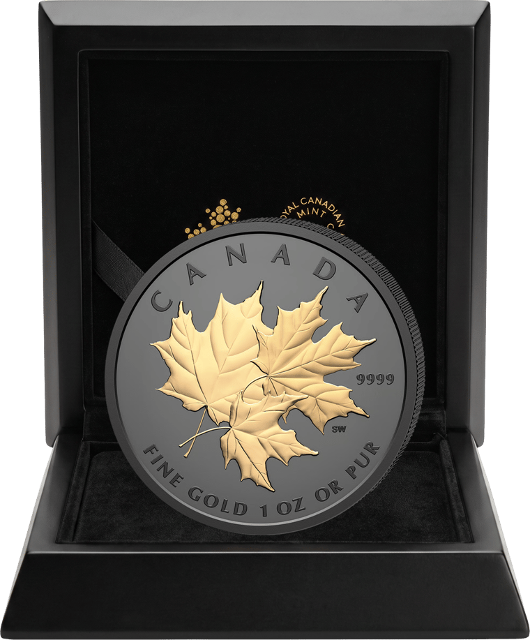 Die Münze in ihrem Etui der Royal Canadian Mint