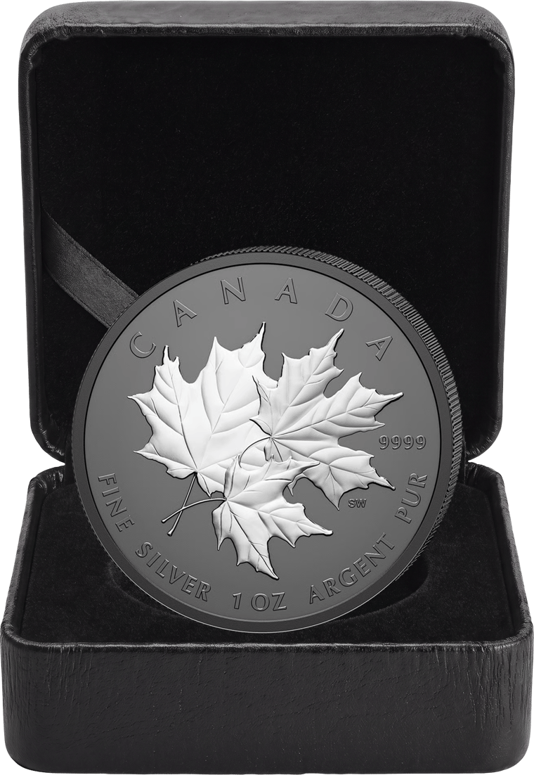 Die Münze in ihrem Etui der Royal Canadian Mint
