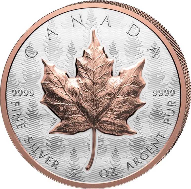 5 Unze Silber Maple Leaf 2025 (Auflage: 1.850 | High Relief | teilvergoldet | Reverse Proof)