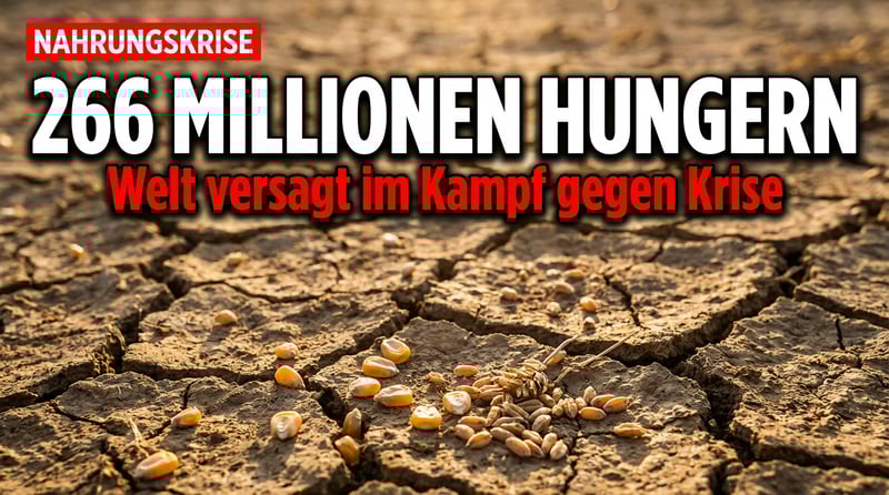 266 Millionen Hungernde: Wie die Welt beim Kampf gegen die Nahrungskrise versagt