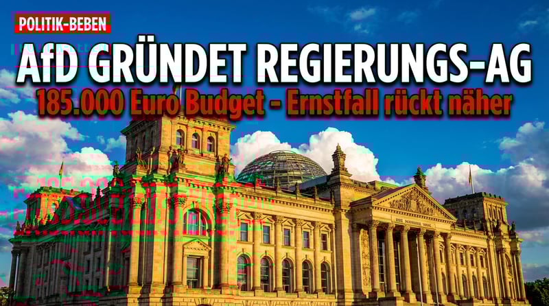 AfD rüstet sich für den Ernstfall: Partei gründet Arbeitsgruppe für mögliche Regierungsübernahme