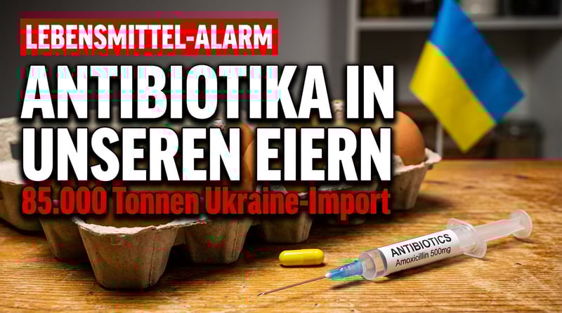 Antibiotika-Eier aus der Ukraine: Wie die EU-Solidarität deutsche Verbraucher gefährdet