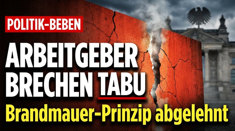 Arbeitgeber-Chef bricht Tabu: „Können mit dem Prinzip Brandmauer nichts anfangen“