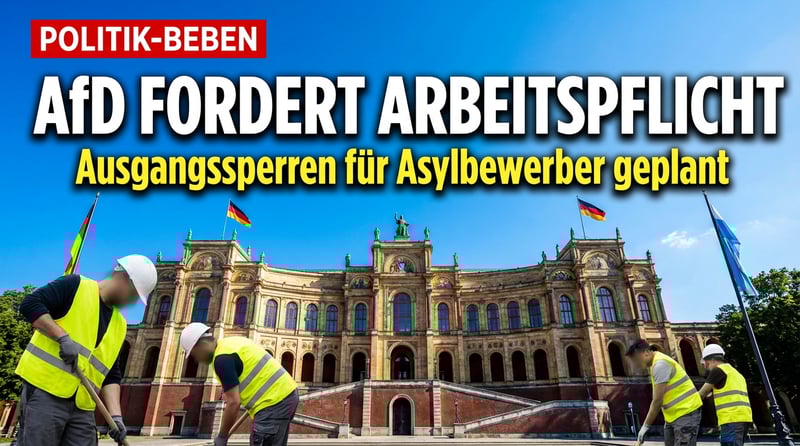 Bayerische AfD fordert Arbeitspflicht für Asylbewerber und Abschiebebehörde nach US-Vorbild