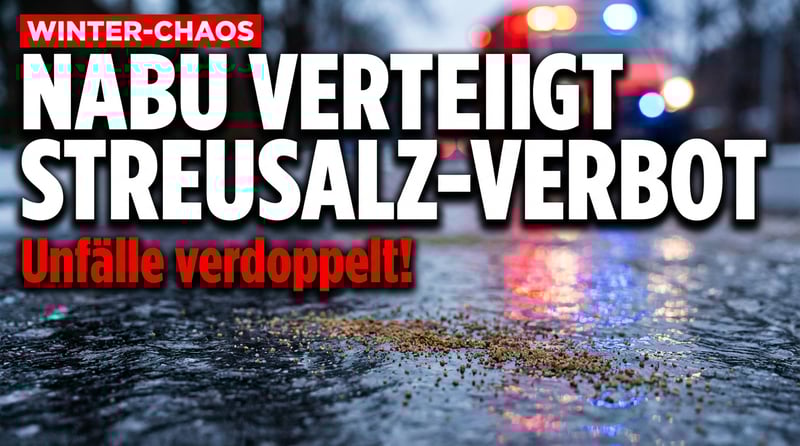 Berliner Nabu verteidigt Streusalz-Klage: Verdoppelte Rettungseinsätze sind für den Verband „relativ normal"