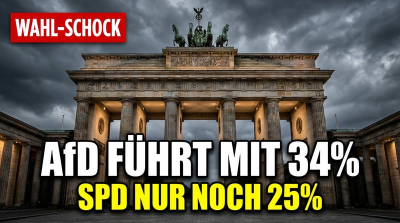 Brandenburg: AfD dominiert Umfragen nach Koalitions-Chaos – Woidkes SPD abgeschlagen