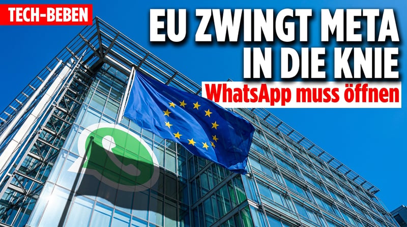 Brüssel zeigt die Muskeln: EU zwingt Meta in die Knie – WhatsApp muss fremde KI wieder durchlassen