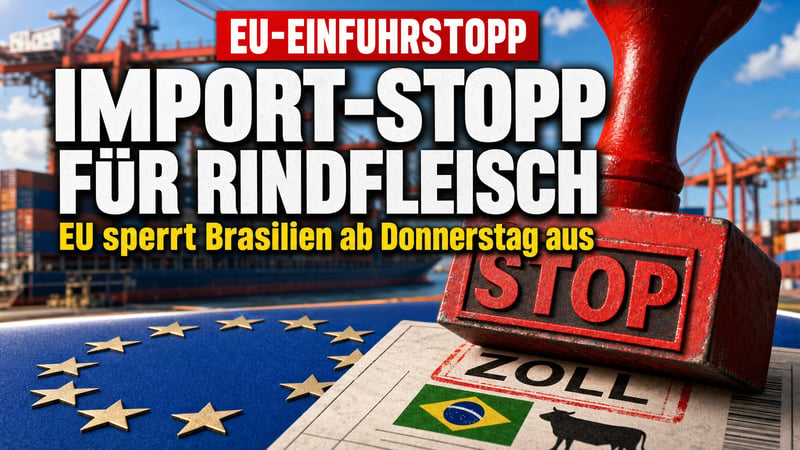 Brüssel zieht die Notbremse: Kein Brasilien-Fleisch mehr ab Donnerstag!