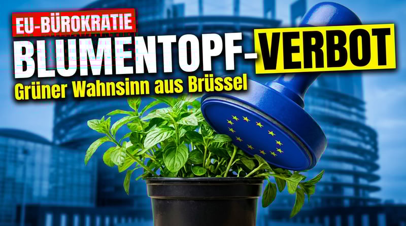 Brüsseler Bürokratie-Wahnsinn: EU will Plastik-Blumentöpfe verbieten – und riskiert damit ein ökologisches Eigentor