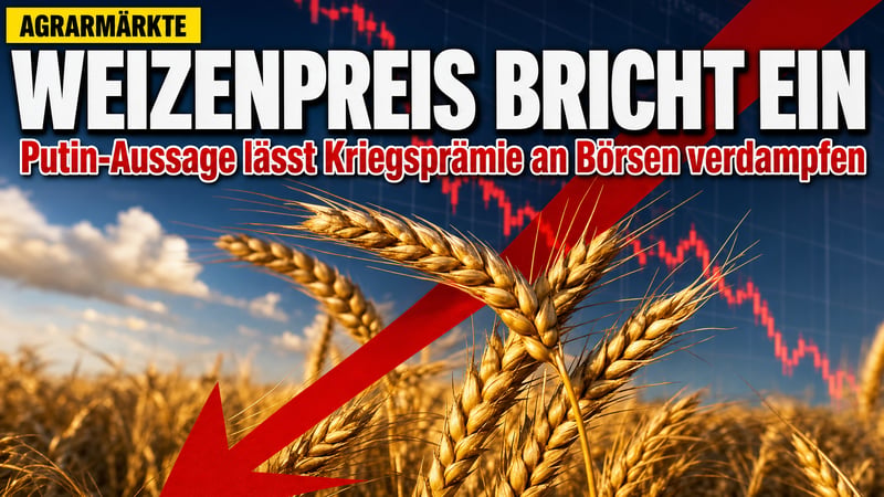 Ein Satz von Putin – und der Weizenpreis bricht ein