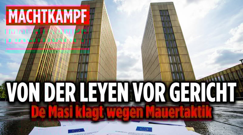Fabio De Masi zieht gegen von der Leyens Mauertaktik vor den Europäischen Gerichtshof