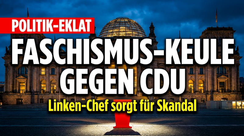Faschismus-Keule gegen die CDU: Wie ein Linken-Chef die Geschichte mit Füßen tritt