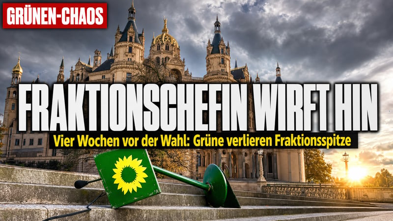 Grünen-Chaos in Schwerin: Fraktionschefin wirft vor der Wahl hin