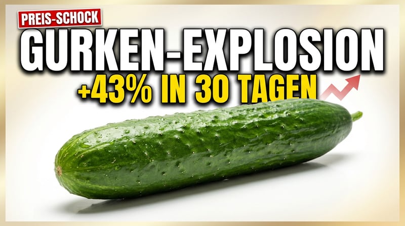 Gurkenpreise explodieren: Wenn das Gemüseregal zum Luxussegment wird