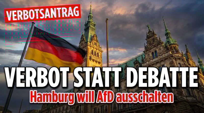 Hamburger Rot-Grün treibt AfD-Verbotsverfahren voran: Demokratieschutz oder politische Selbstbedienung?