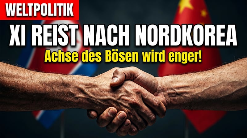 „In Blut geschmiedet": Xi pilgert nach Pjöngjang – und der Westen schaut tatenlos zu