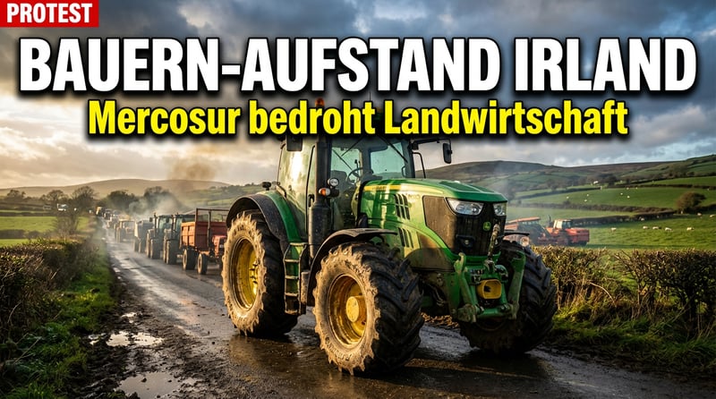 Irlands Bauern auf den Barrikaden: Wie EU-Bürokratie und Mercosur die Landwirtschaft erdrosseln