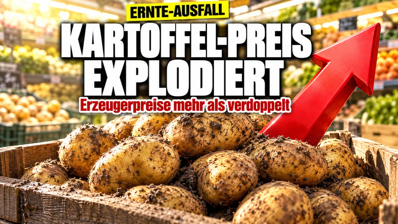 Kartoffel-Schock: Bauernpreise verdoppelt, jetzt zahlt der Kunde drauf!