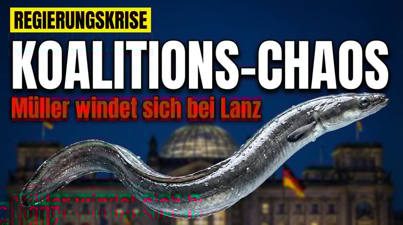Koalitionschaos live im ZDF: CDU-Fraktionsvize Müller windet sich bei Lanz wie ein Aal