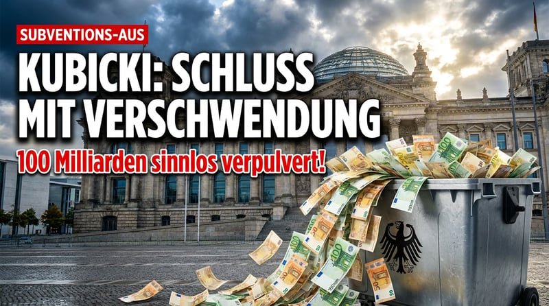 Kubicki rechnet ab: Schluss mit dem Subventionswahn und der Hängematte Bürgergeld