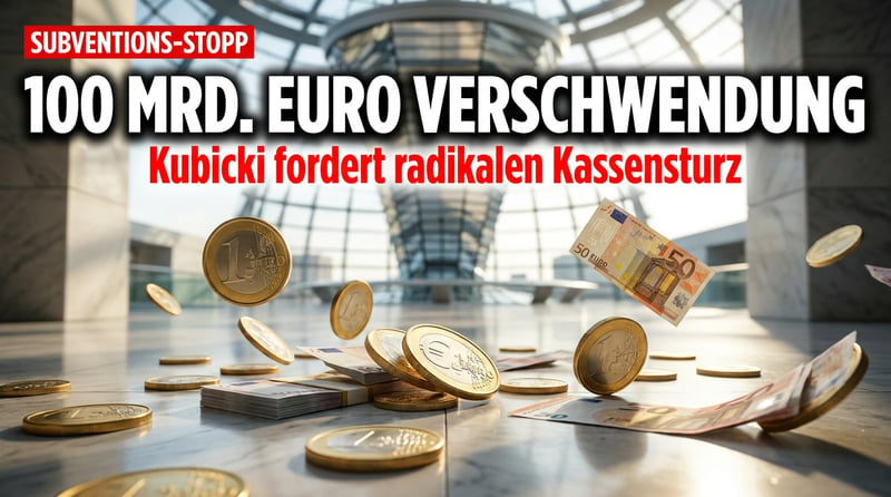 Kubicki schlägt Alarm: Schluss mit der Subventions-Gießkanne und Bürgergeld ohne Gegenleistung