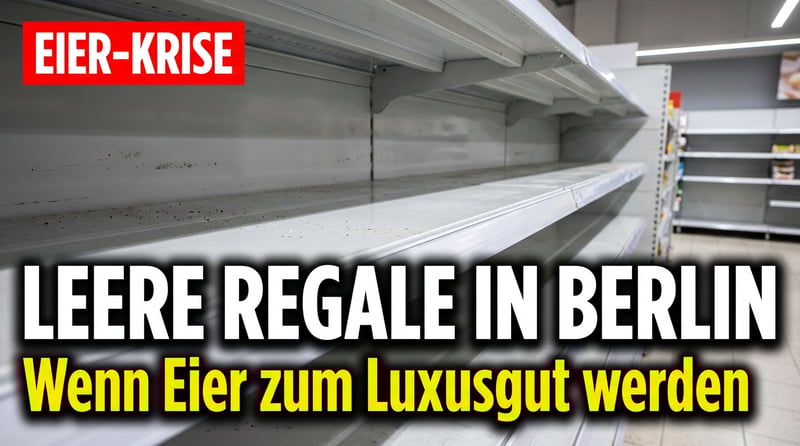Leere Eierregale in Berlin: Wenn ein Grundnahrungsmittel zum Luxusgut wird