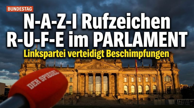 Linkspartei-Chefin verteidigt Nazi-Beschimpfungen im Bundestag – und macht Straßenbeleuchtung für Angst verantwortlich