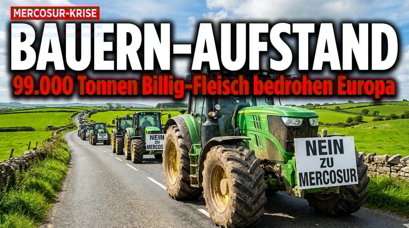 Mercosur-Abkommen: Irlands Bauern wehren sich gegen Brüsseler Freihandelswahn