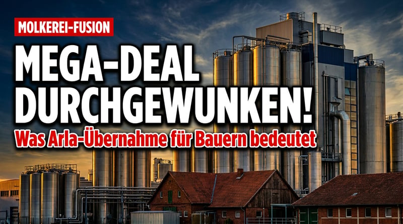 Molkerei-Mega-Deal: Brüssel winkt Arla-DMK-Fusion durch – was das für deutsche Bauern bedeutet